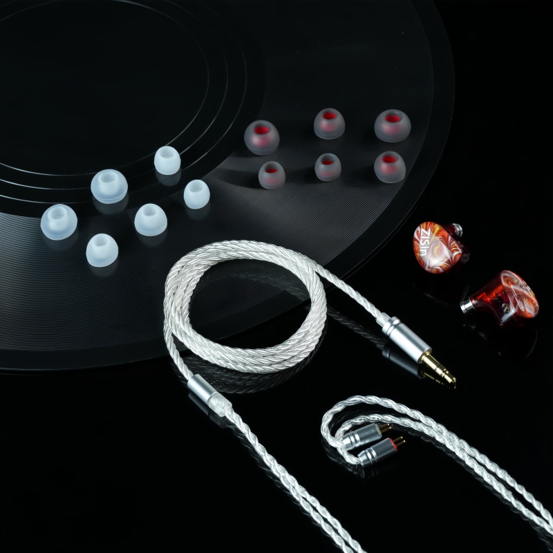 ZiSin 340 IEM 10mm 1DD Driver, - огляд і ціна Planar Magnetic Iem Earphones