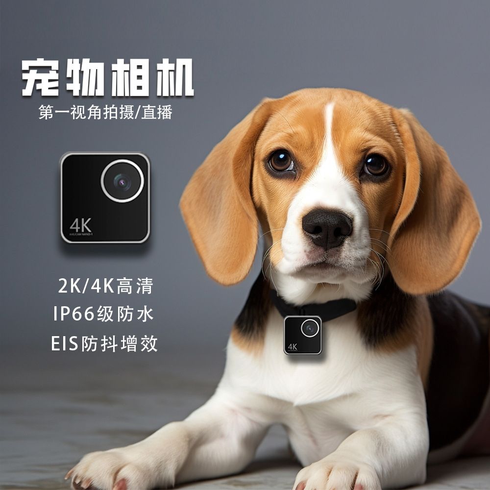 Animal cat dog pet camera firs - огляд і ціна Cameras