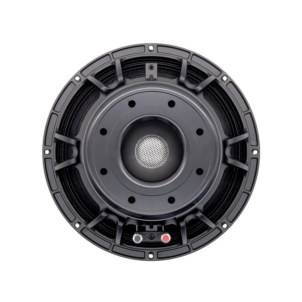 12DS Pro Audio Equipment 12''  - огляд і ціна Speakers