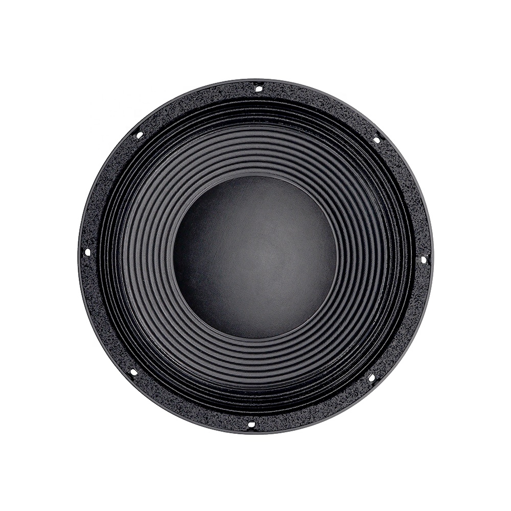 12DS Pro Audio Equipment 12''  - огляд і ціна Speakers